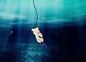 para fishing[sound=files.catbox.moe%2Fodqyec.mp3]_thumb.jpg