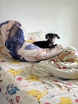 DAD (KING OF THE BED)
