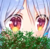 1748772236198081