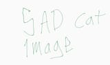canvas (1)