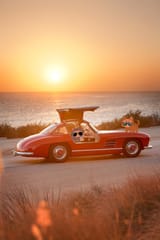 Cruising Cats[sound=files.catbox.moe%2Fxn9gip.mp3]