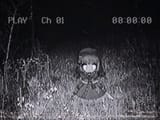 1731695485544038