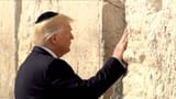 Golden Goy