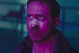 Gosling