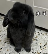 1000010400