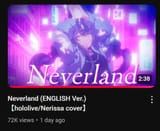 Neverland flop