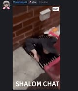 shalom