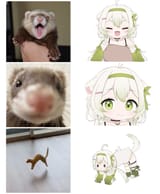 @zdrq3