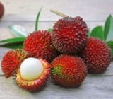 28fa0c59a3c3d6491b07ed0c0208a4cf