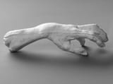 limb