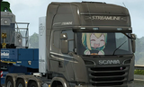 03204427