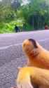 1750601379940295_thumb.jpg