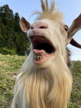 Gh0DnJBaUAAeprb