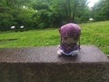 IMG_20250623_112348