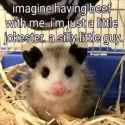 silly guy [sound=files.catbox.moe%2Fut2yi2.mp3]_thumb.jpg