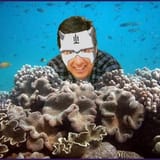 underwater ray ramano