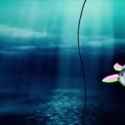 fishasi[sound=files.catbox.moe%2Fyavt4h.mp3]_thumb.jpg
