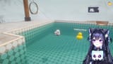 ducks