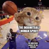 1748823327196333
