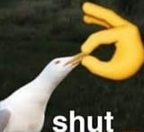 1696165072270663