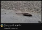 1736714336127250