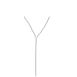 Y