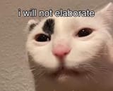 1738625409374734