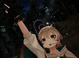 HEIL