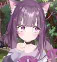 sotrue[sound=files.catbox.moe%2Fdwh3pd.ogg]_thumb.jpg