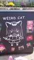 Weird Flying Cat[sound=files.catbox.moe%2Fijbu9q.ogg]_thumb.jpg