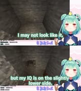 low iq