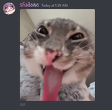 1726254806378093