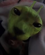 bigglorptis