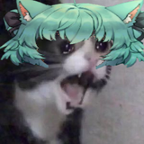 DM Scream