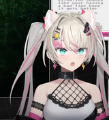 cat Lia pog