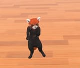 panda