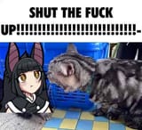 3440487