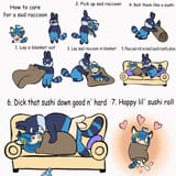 how to care for a sad raccoon