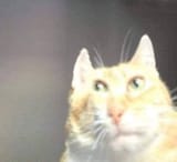 1745372703094832