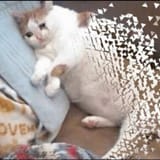 1724049252339719