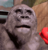 monkey-eating