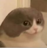1739390115071449