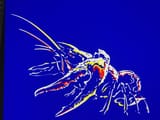 GtvDi24W4AArZ6p