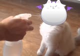 1722909221278112