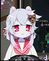 sharkno
