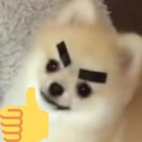 1739228636644014