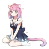 12780042
