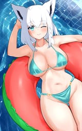 1750258953576