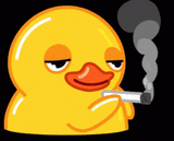 laughing-duck