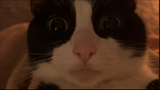 1728952171983225